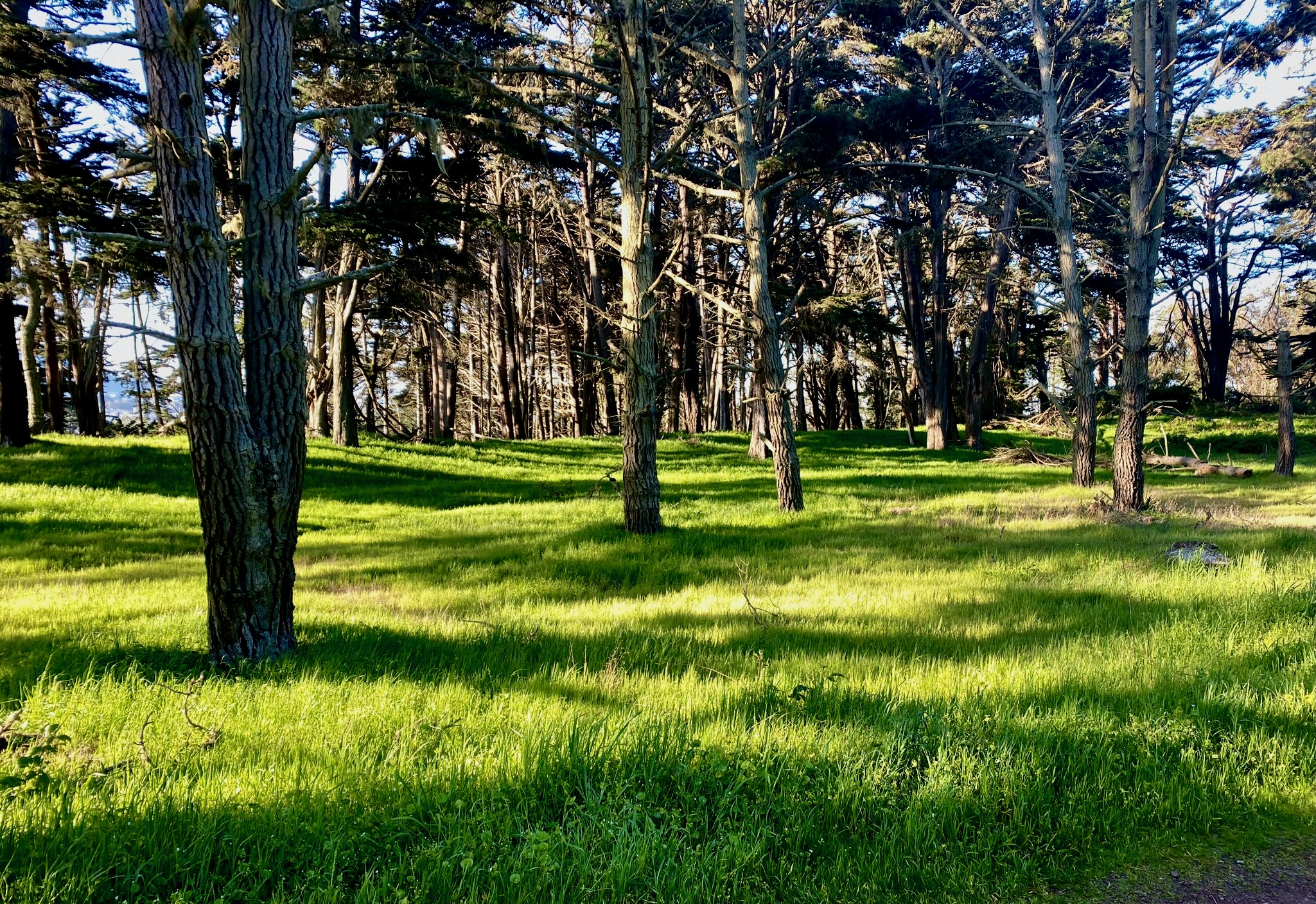 Ohlone Fields