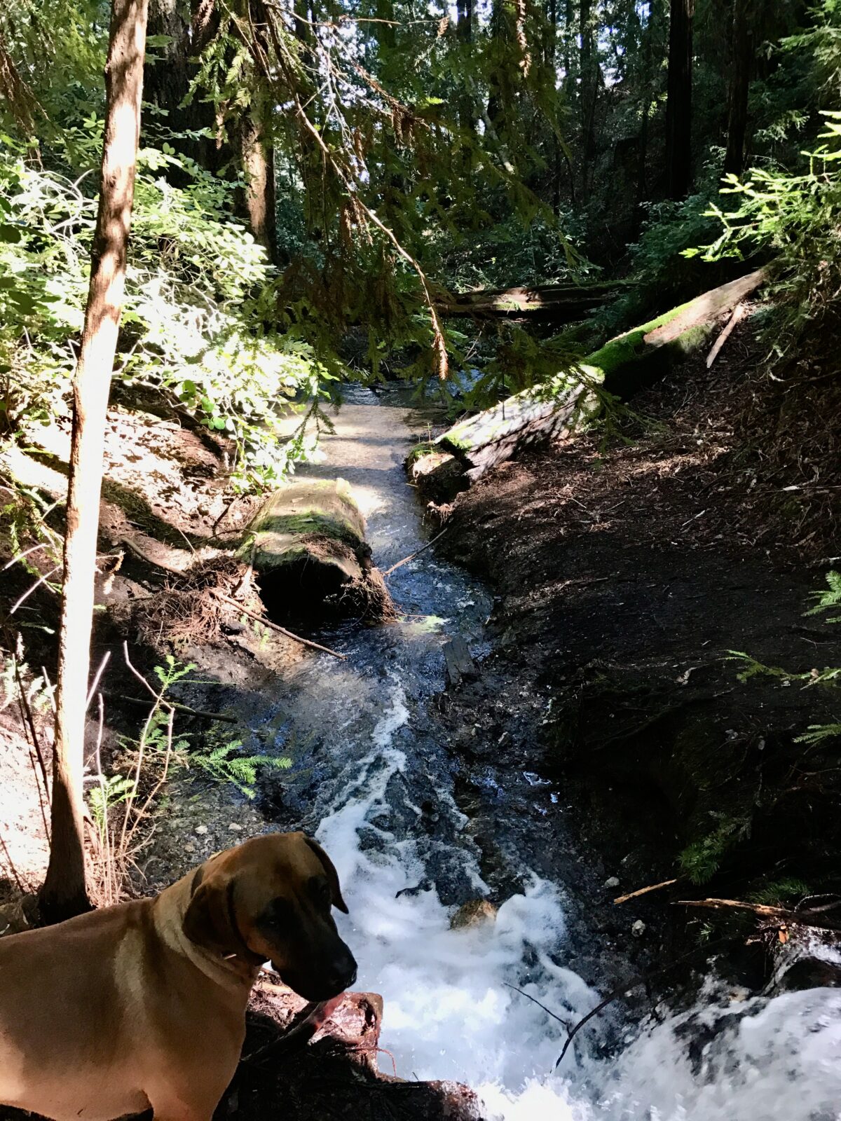 Change in Buckeye Canyon