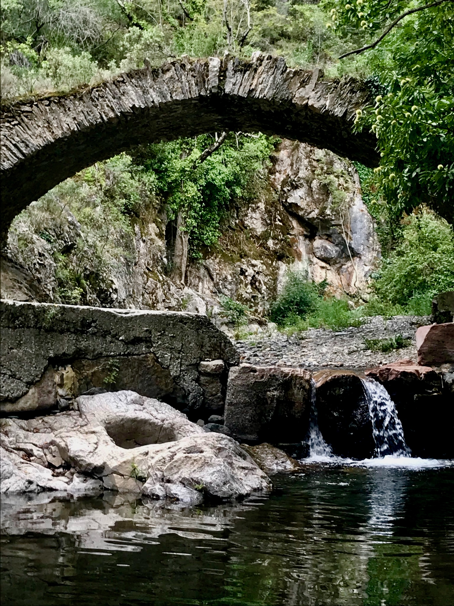 Brigid in Buckeye Canyon